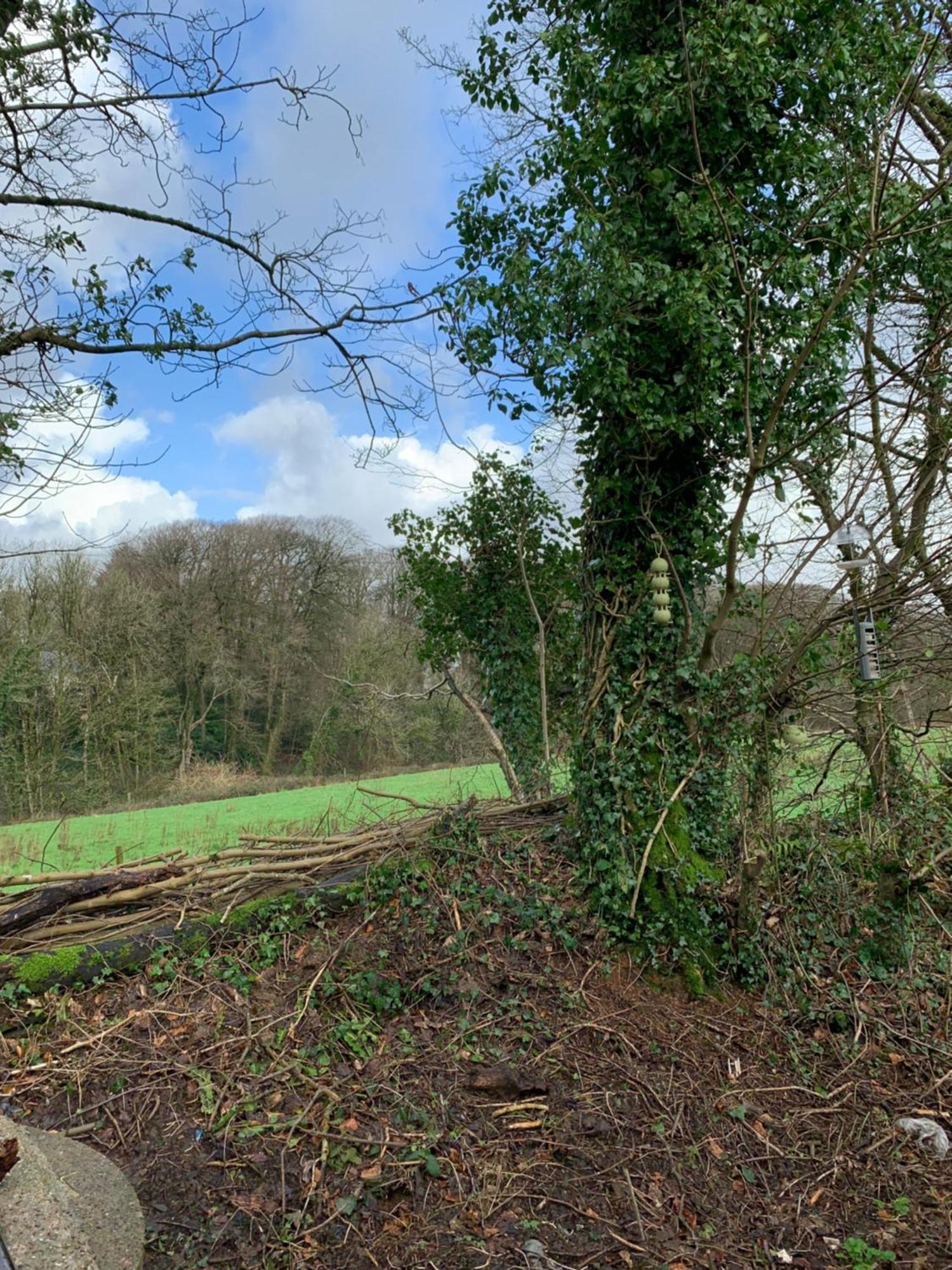 4 Devon Country, Bideford Bay Holiday Park Bucks Mills Ngoại thất bức ảnh